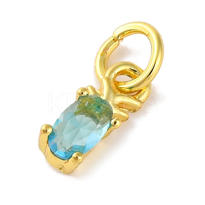 Rack Plating Brass Micro Pave Cubic Zirconia Charms KK-F881-03G-05-1