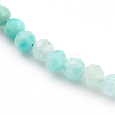 Natural Gemstone Beaded Necklaces NJEW-JN03315-1