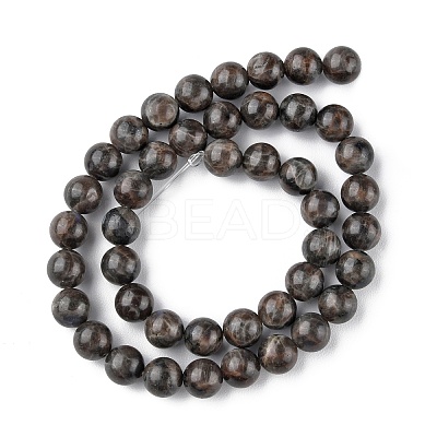 Natural Labradorite Beads Strands G-G0003-C03-10mm-1