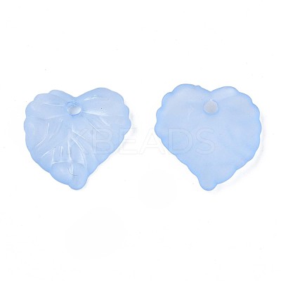 Transparent Acrylic Pendants TACR-S157-01D-1