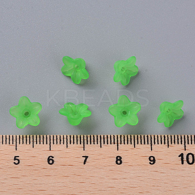 Transparent Acrylic Beads PL554-13-1