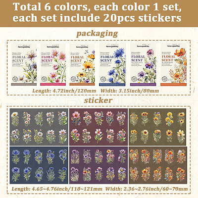 6 Sets 6 Styles PET Transparent Laser Stickers Set DIY-SP0006-21-1