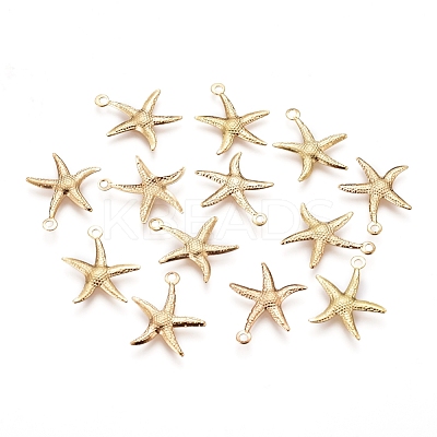 Electroplated Iron Pendants X-IFIN-I030-10G-1