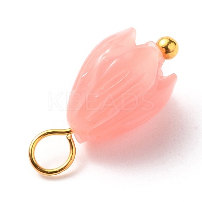 Synthetic Coral Charms PALLOY-JF00558-05-1