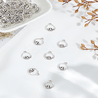 100Pcs Tibetan Style Alloy Charms FIND-LP0006-24-1