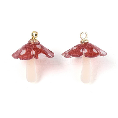 Plastic Pendants KY-N015-118A-01-1