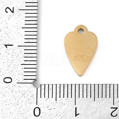 304 Stainless Steel Enamel Charms STAS-I325-054G-01-1