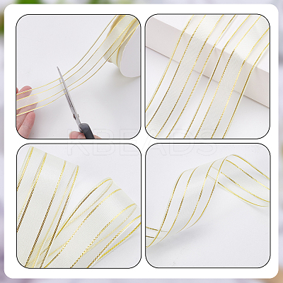 Polyester Ribbon OCOR-WH0110-42A-1
