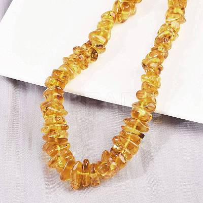 Natural Amber Chip Beaded Necklaces NJEW-L466-03B-1