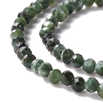 Natural Seraphinite Beads Strands LS-G-A021-07B-1