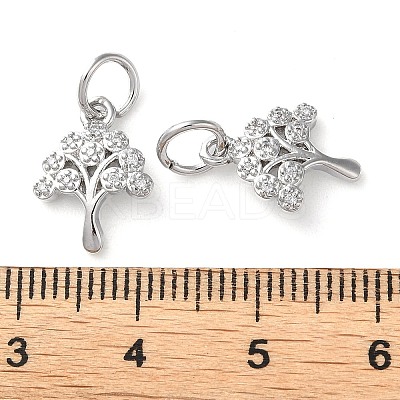 Rack Plating Brass Micro Pave Clear Cubic Zirconia Charms KK-D097-05P-1