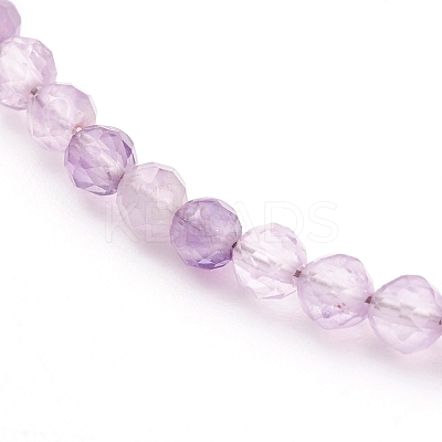 Natural Amethyst Beaded Necklaces NJEW-JN03315-01-1