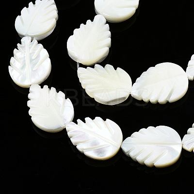Natural Trochid Shell/Trochus Shell Beads Strands SSHEL-N034-136B-01-1