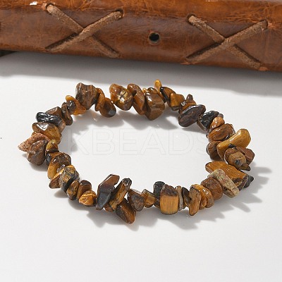 Unisex Chip Natural Tiger Eye Beaded Stretch Bracelets X-BJEW-S143-02-1