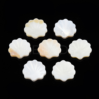 Natural Freshwater Shell Beads LS-X-SHEL-T007-02-1