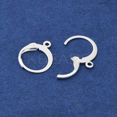 316L Surgical Stainless Steel Leverback Earring Findings STAS-F075-38S-1