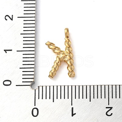 316 Surgical Stainless Steel Pendants & Charms LS-STAS-D031-01K-1