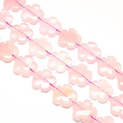 Natural Rose Quartz Flower Beads Strands G-L241A-05-1