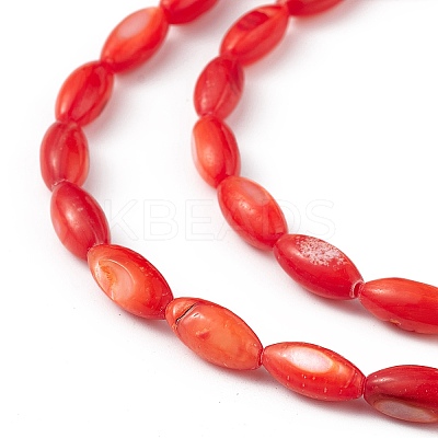 Natural Freshwater Shell Dyed Beads Strands X-SHEL-M018-13-05-1