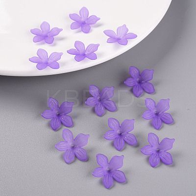 Frosted Acrylic Bead Caps LS-X-MACR-S371-05A-747-1