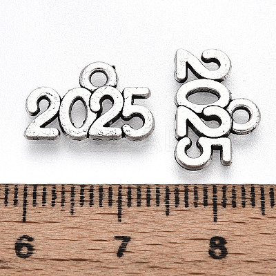 Tibetan Style Alloy Charms LS-TIBE-N012-11AS-NF-1