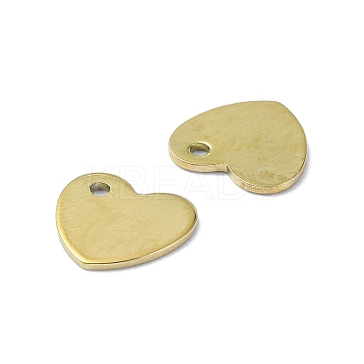Ion Plating(IP) 201 Stainless Steel Charms LS-STAS-H191-01B-G-1