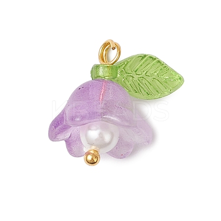 Glass Charms PALLOY-MZ00838-05-1