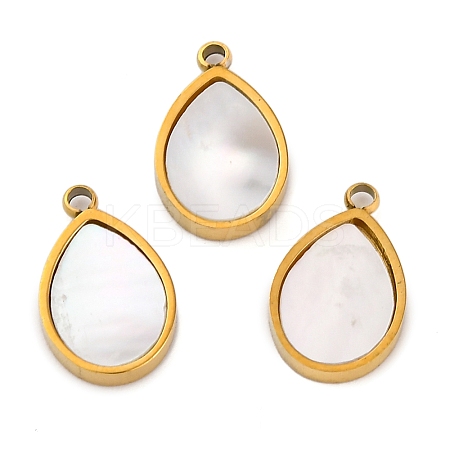 Ion Plating(IP) 304 Stainless Steel Pave Natural Shell Charms STAS-Z100-01G-01-1