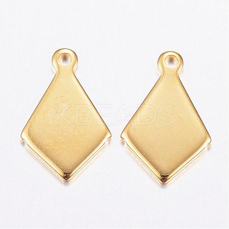 304 Stainless Steel Charms STAS-P142-10G-1