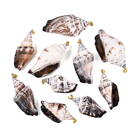 Brass & Natural Spiral Shell Big Pendants SHEL-Q029-29KCG-1
