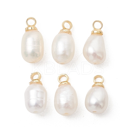 Natural Cultured Freshwater Pearl Pendants PALLOY-JF05438-01-1