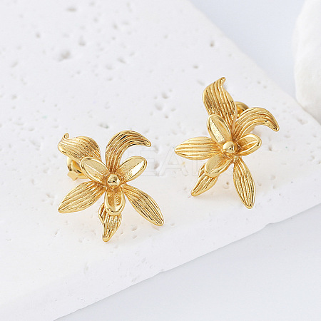 304 Stainless Steel Stud Earrings for Women DB8476-1