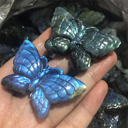 Dyed Natural Labradorite Carved Display Decorations LS-PW-WG38302-02-1