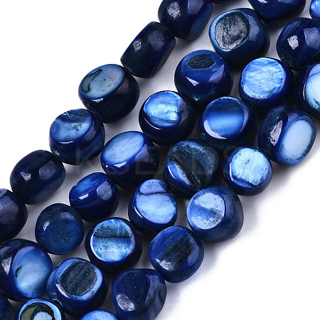 Natural Freshwater Shell Beads Strands X-SHEL-S276-110B-02-1