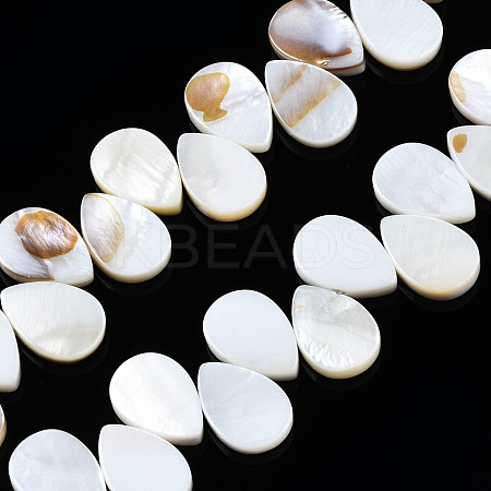 Natural Freshwater Shell Beads Strands SHEL-Q024-008-1