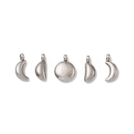 5Pcs 304 Stainless Steel Charms STAS-M017-14P-1