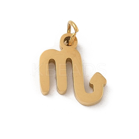 304 Stainless Steel Charms LS-STAS-R001-04G-08-1