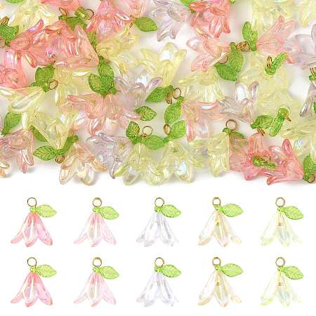 50Pcs Transparent Acrylic Pendants PALLOY-FS00043-04-1