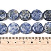 Natural Blue Spot Jasper Beads Strands G-L648-B08-15mm-6