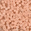 FGB Frosted Transparent Glass Seed Beads SEED-N013-03A-03-3