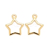 201 Stainless Steel Charms LS-STAS-K217-05G-1