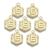 Alloy Pendants PALLOY-N157-003E-NR-1