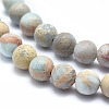 Natural Aqua Terra Jasper Beads Strands G-N0128-48F-12mm-3