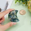 Natural Moss Agate Home Display Decorations DIY-WH0410-63B-3