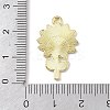 Golden Plated Alloy Enamel Pendants LS-FIND-M015-01G-C-3