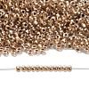 TOHO 8/0 Round Beads SEED-TR08-0989-4
