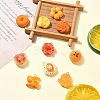 20Pcs 10 Styles Opaque Resin Imitation Food Pendants CRES-YW0002-26-4