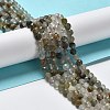 Natural Green Lodolite Quartz Beads Strands G-Z029-02-4