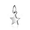 Tarnish Resistant 201 Stainless Steel Charms STAS-S105-T554D-6-1-1