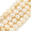 Natural Cultured Freshwater Pearl Beads Strands PEAR-C003-09F-X-2